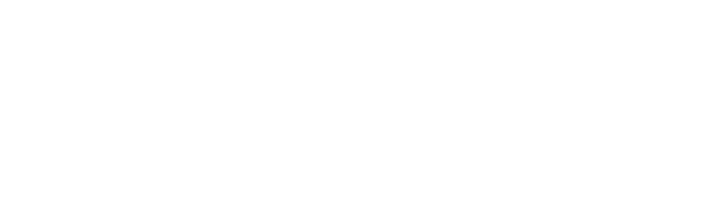 Natural Science Instutute of Iceland Logo