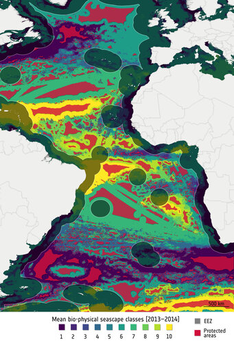 Protecting ocean biodiversity with satellite data