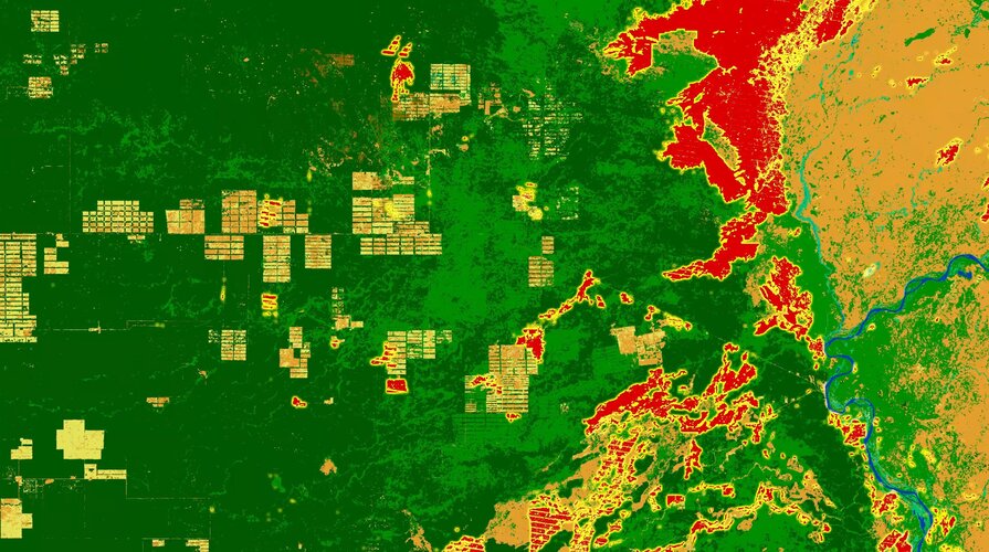 Satellite records expose fire driving Gran Chaco transformation