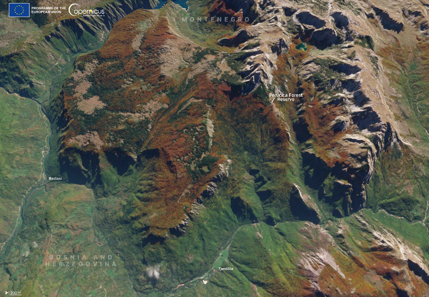 OBSERVER: How the EU Space Programme supports healthy forests