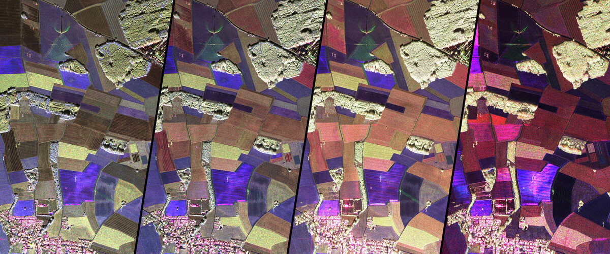 Measuring soil from the sky for ROSE-L and CHIME