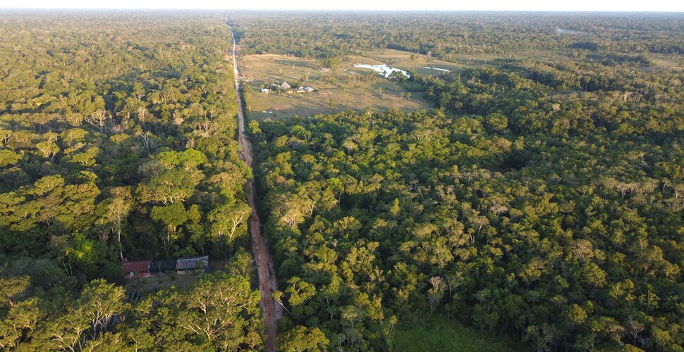 Tiny patches of deforestation drive tropical carbon loss